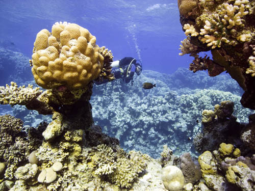 M0010741 1